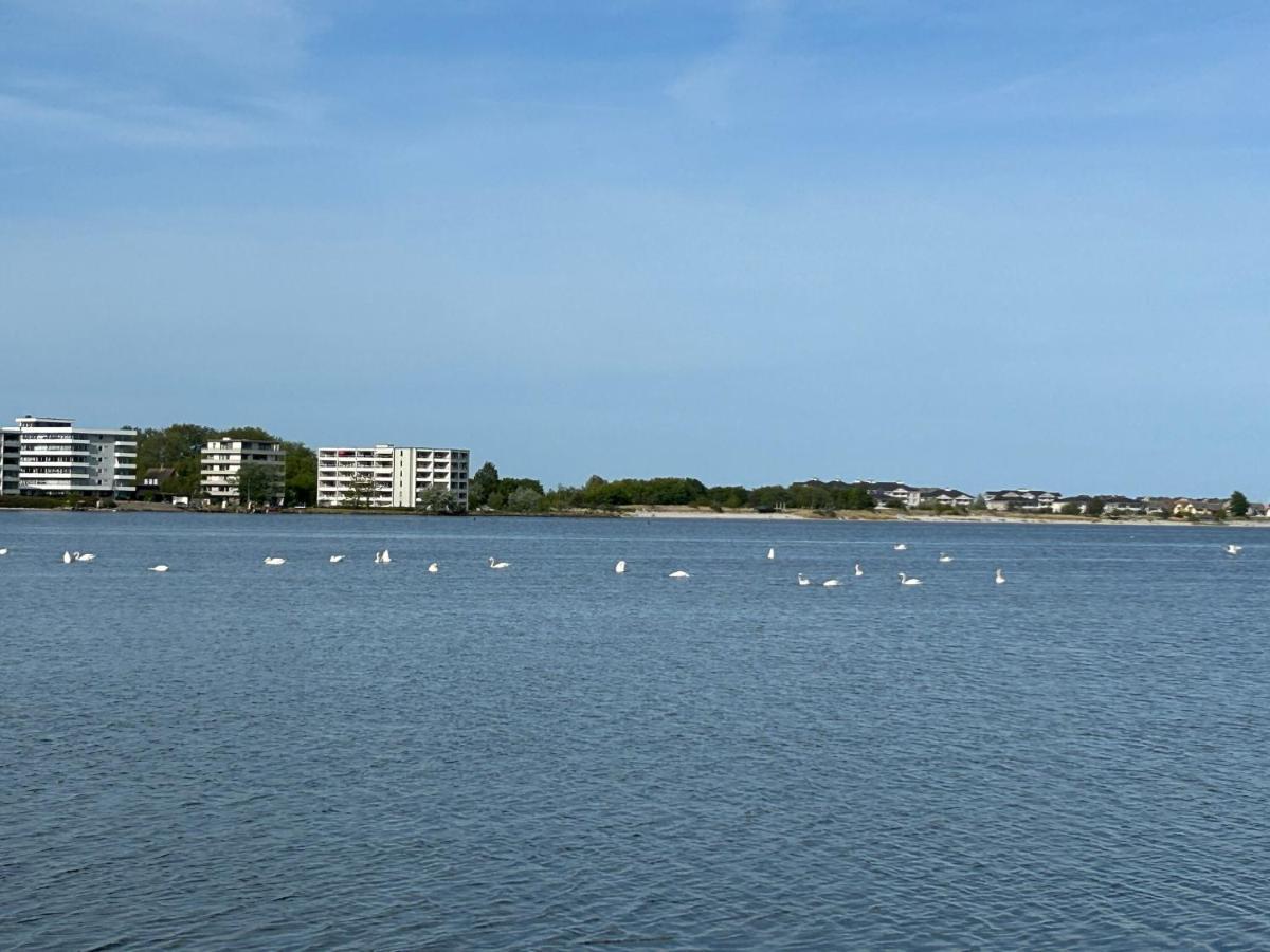Wasserblick, In 3 Min Am Strand Heiligenhafen Bagian luar foto